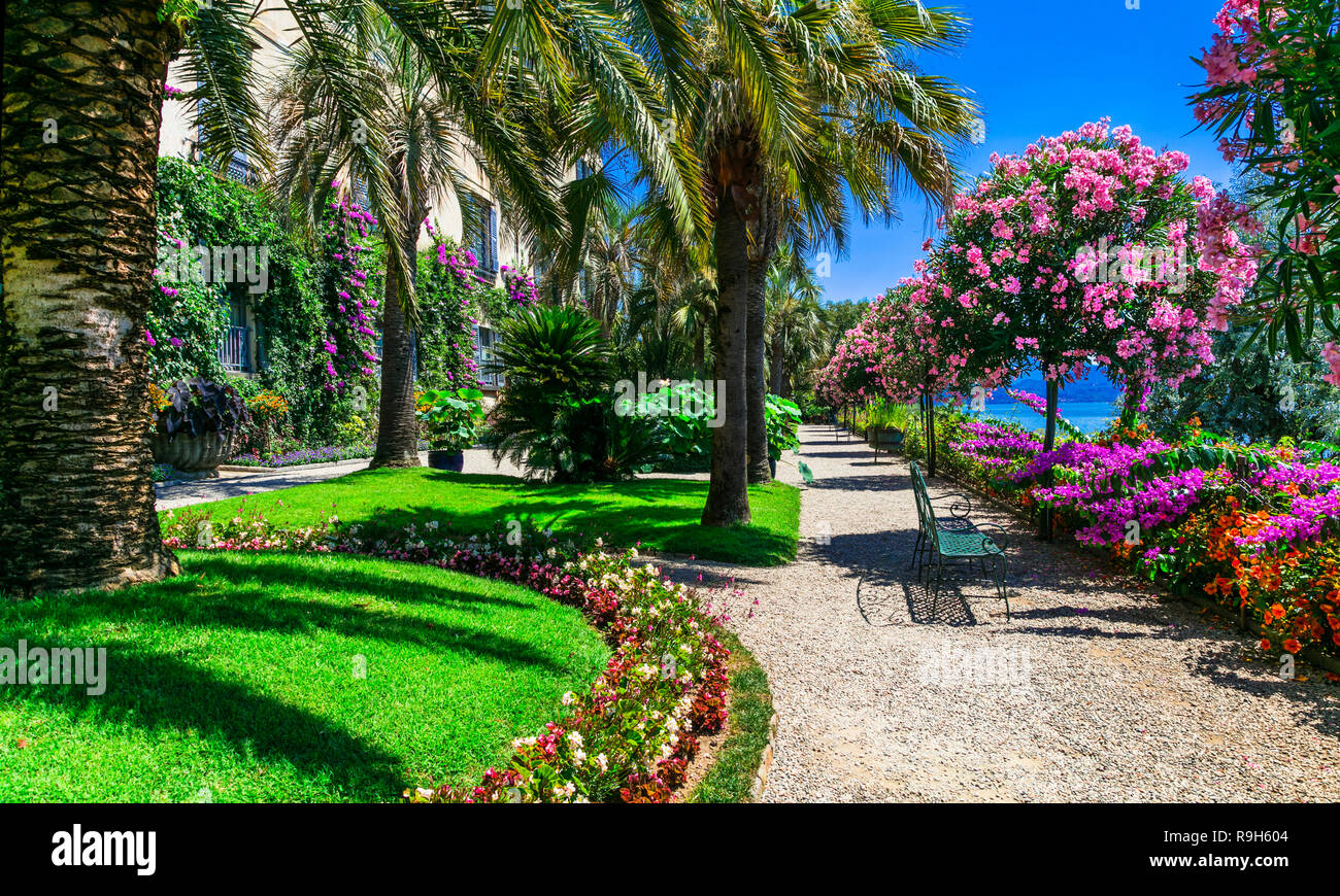 Wunderschöne Isola Madre, Lago Maggiore, vie mit Bäumen, Blumen und See, Nord Italien. Stockfoto