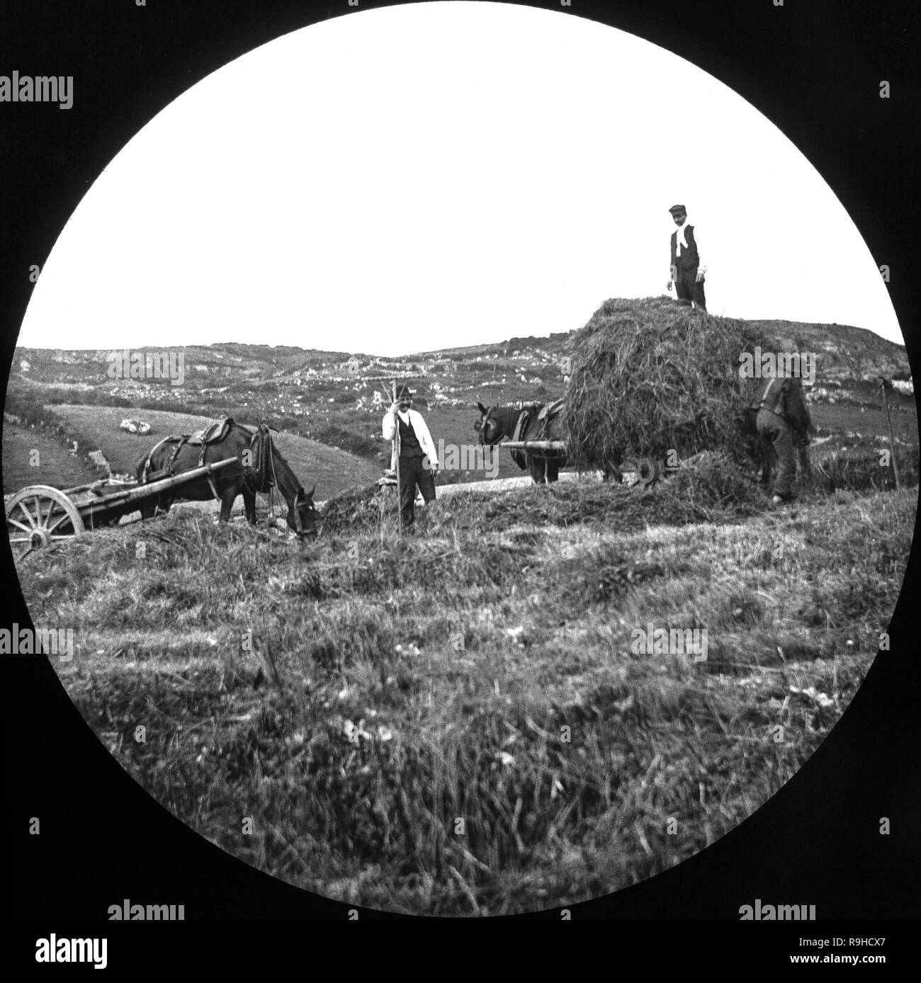 Ein spät-viktorianischen schwarz-weiß Foto, Heu auf einer Farm in England gesammelt. Bild zeigt drei Leute arbeiten, laden das Heu auf zwei Pferden gezogenen Karren. Stockfoto