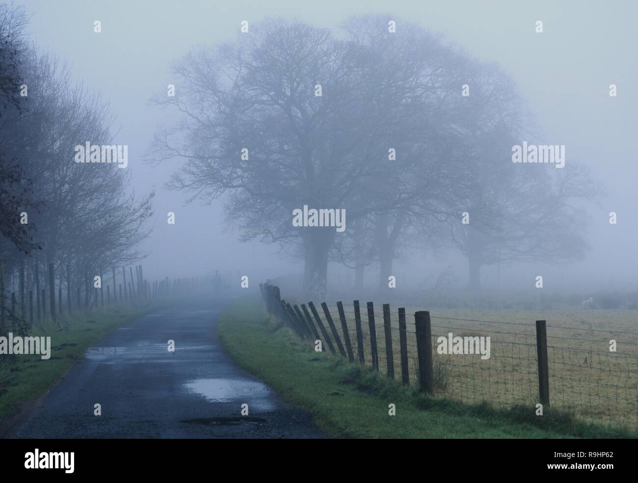 Ardgowan Immobilien der Weg in den Nebel Stockfoto