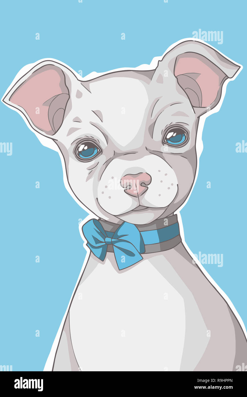 Kleine weiße kurze Haare Chihuahua Hund mit blauen Augen und Ribbon Kragen portrait grafische Darstellung Stockfoto