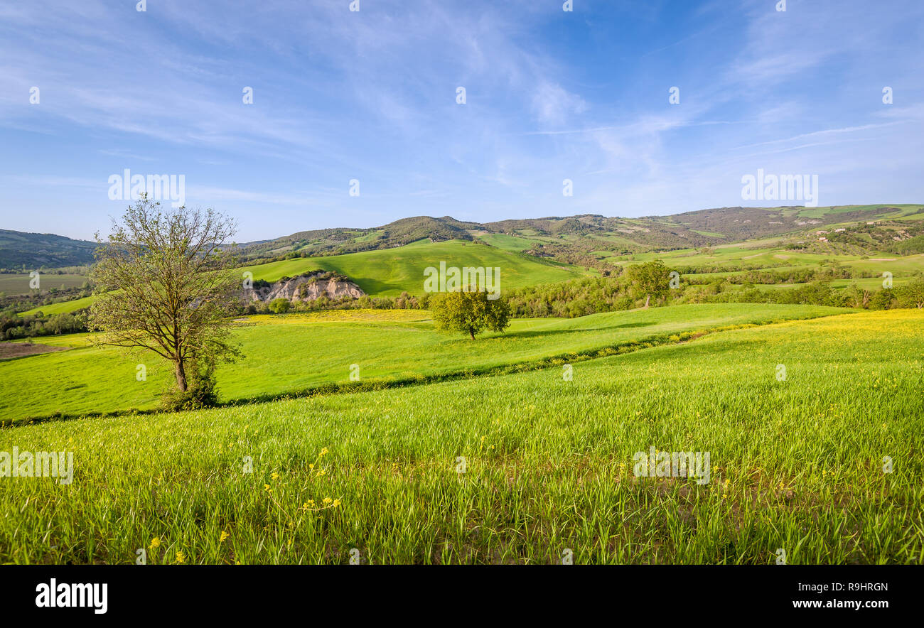 Friedliche Toscana Val d'Orcia Felder Landschaften. Reisen Toskana Landschaften, Italien. Stockfoto