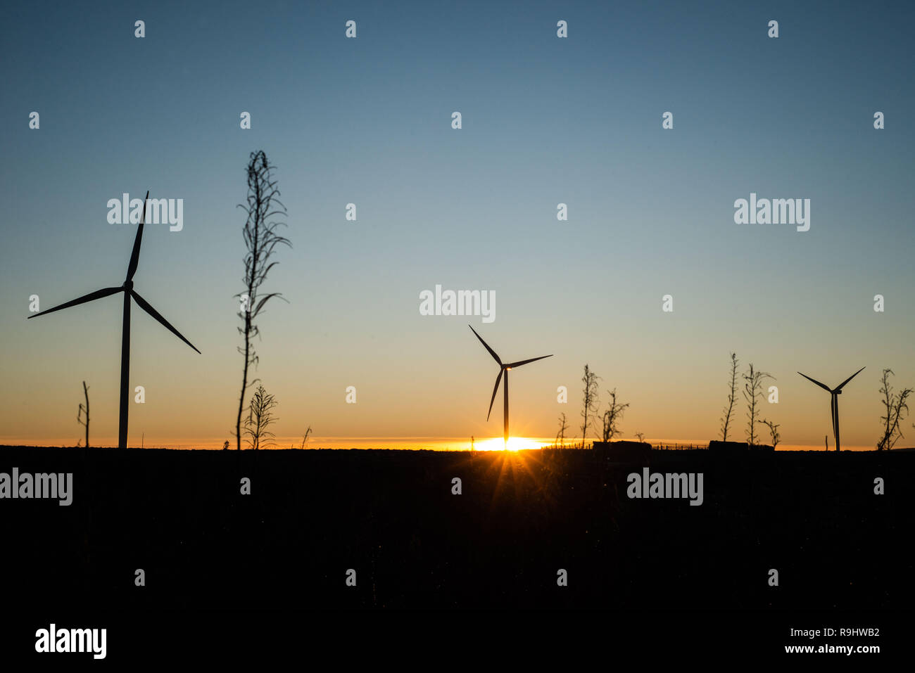 Windkraftanlagen in Pasteten Wind Farm in der Nähe von West Calder bei Sonnenuntergang Stockfoto