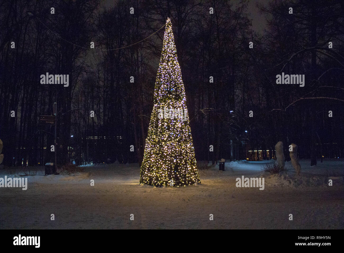 Weihnachtsbaum auf der Straße mit bunten Gerland. Stockfoto