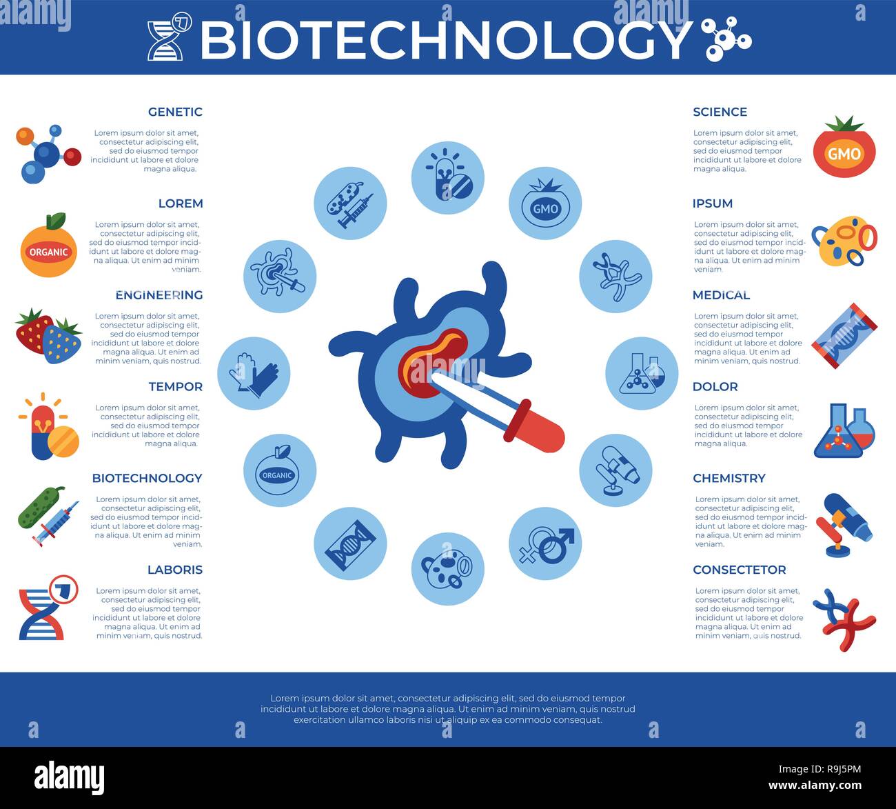 Digitale vektor Gentechnik Gvo-Technologie Symbole Infografiken eingestellt Stock Vektor