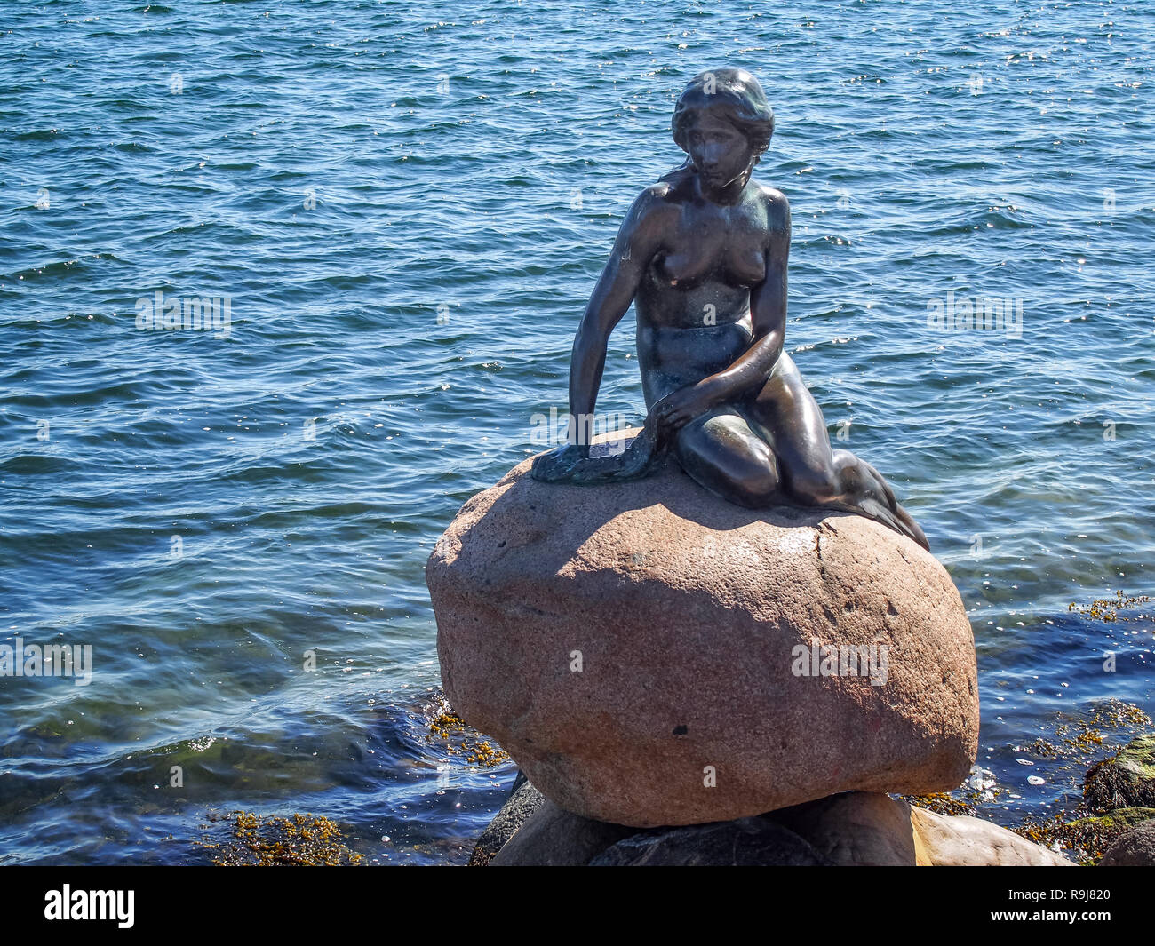 Kopenhagen, Dänemark - 11 April 2016: Bronze Statue der Kleinen Meerjungfrau von Edvard Eriksen Stockfoto