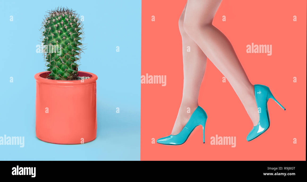 Die Idee der Haarentfernung an den Beinen. Glatte schöne weibliche Beine und stacheligen haarige Cactus Stockfoto