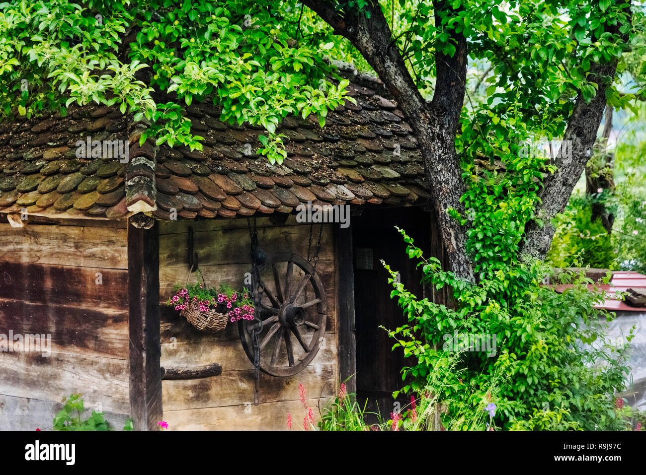 Terzica Avlija Village, ein Freilichtmuseum der ethno Dorf, Zlakusa, Serbien Stockfoto