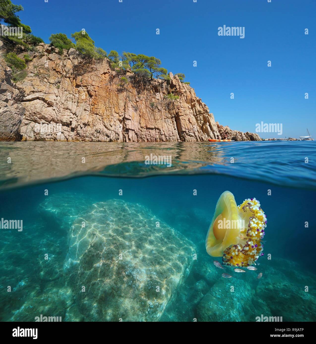 Spanien Costa Brava Küsten felsigen Klippen mit einer Qualle unterwasser Mittelmeer, geteilte Ansicht Hälfte oberhalb und unterhalb der Wasseroberfläche, Aiguablava, Begur Stockfoto