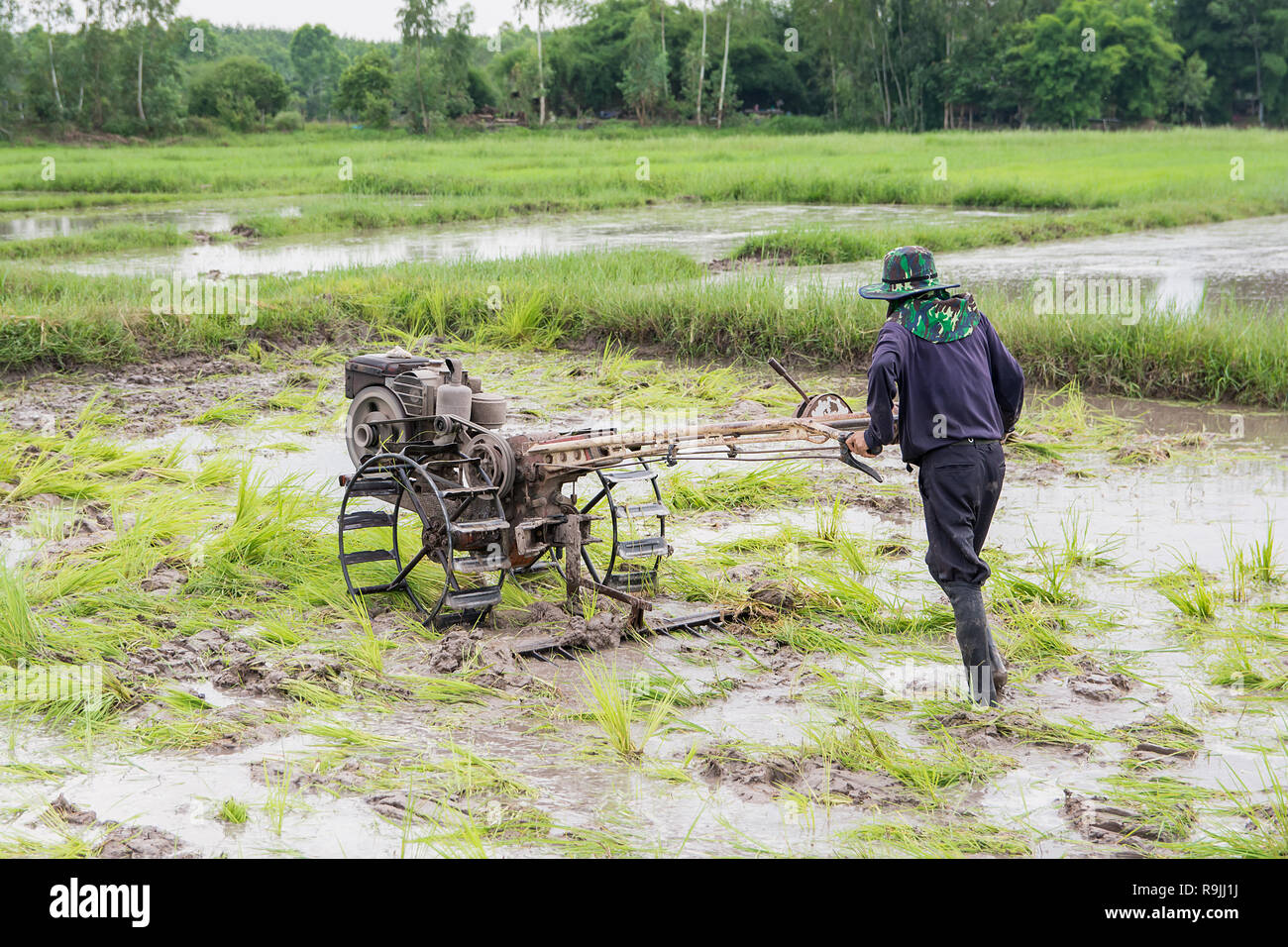 Pflüge Maschinen-bauer mit Wandern Traktor Pflügen im Reisfeld der Bereich vorzubereiten Reis zu wachsen. Stockfoto