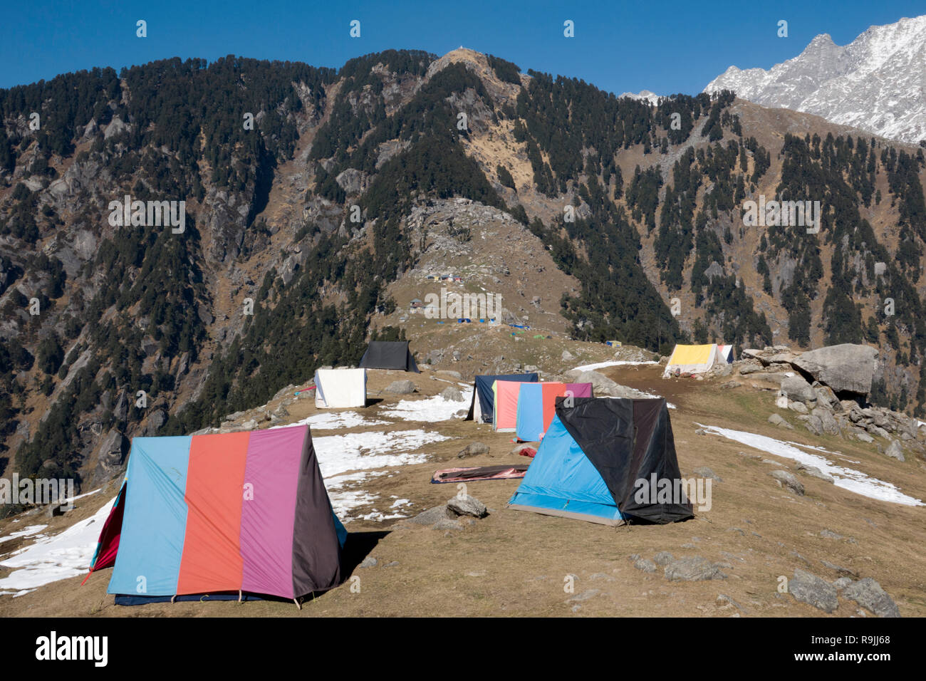 Campingplatz am Triund im Dhauladhar reicht in Himachel Pradesh, Indien Stockfoto