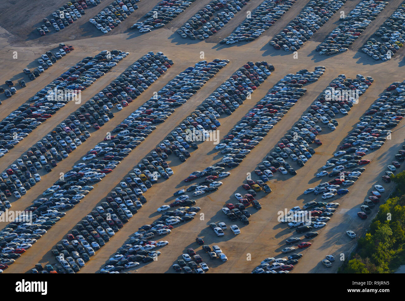 Beschlagnahmte Autos Stockfoto