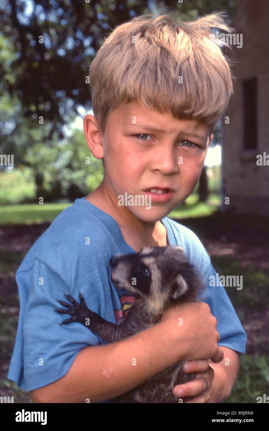 Junge und Pet Waschbär. Stockfoto