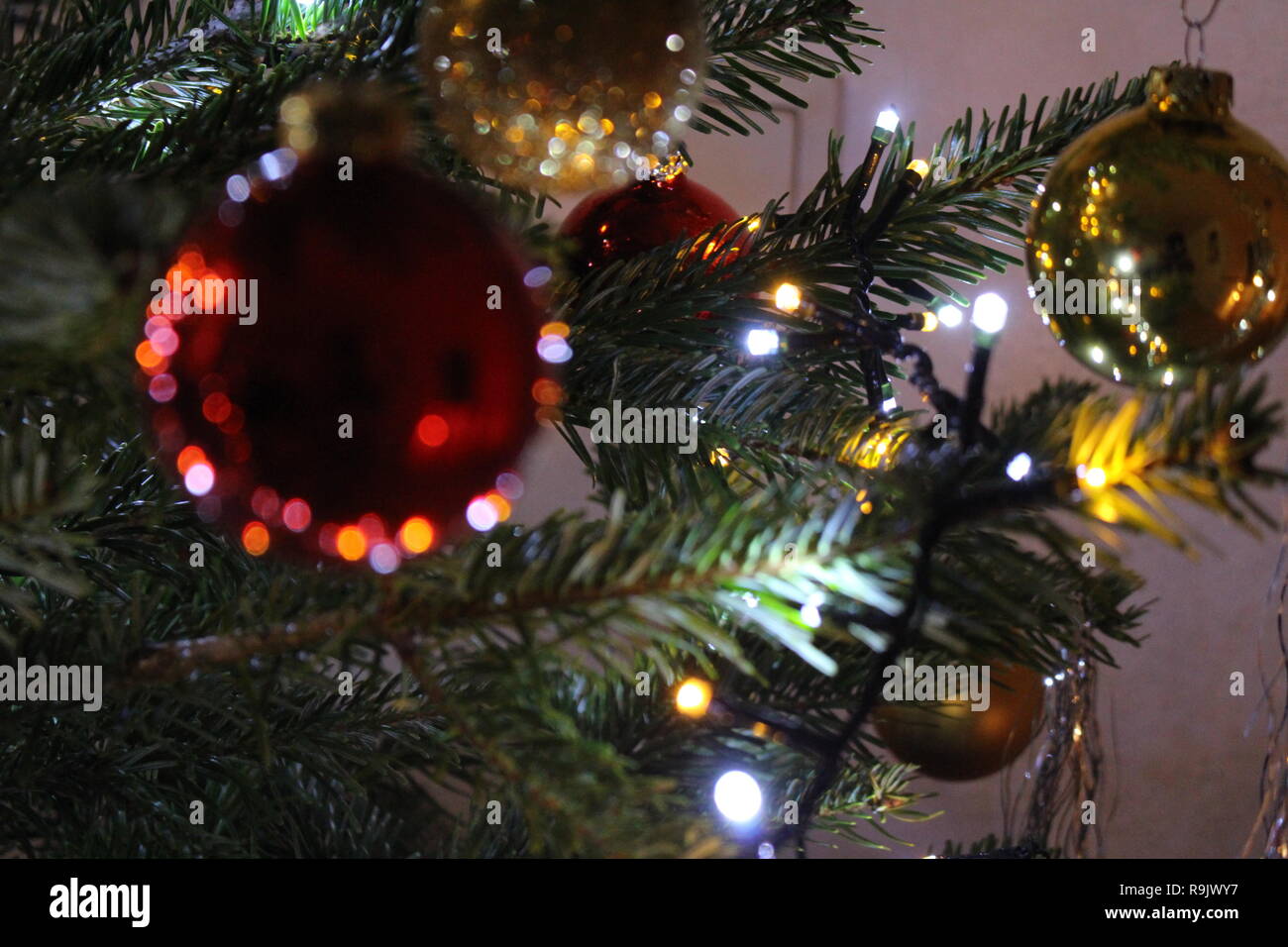 Makroaufnahme der Weihnachtsbaum Stockfoto