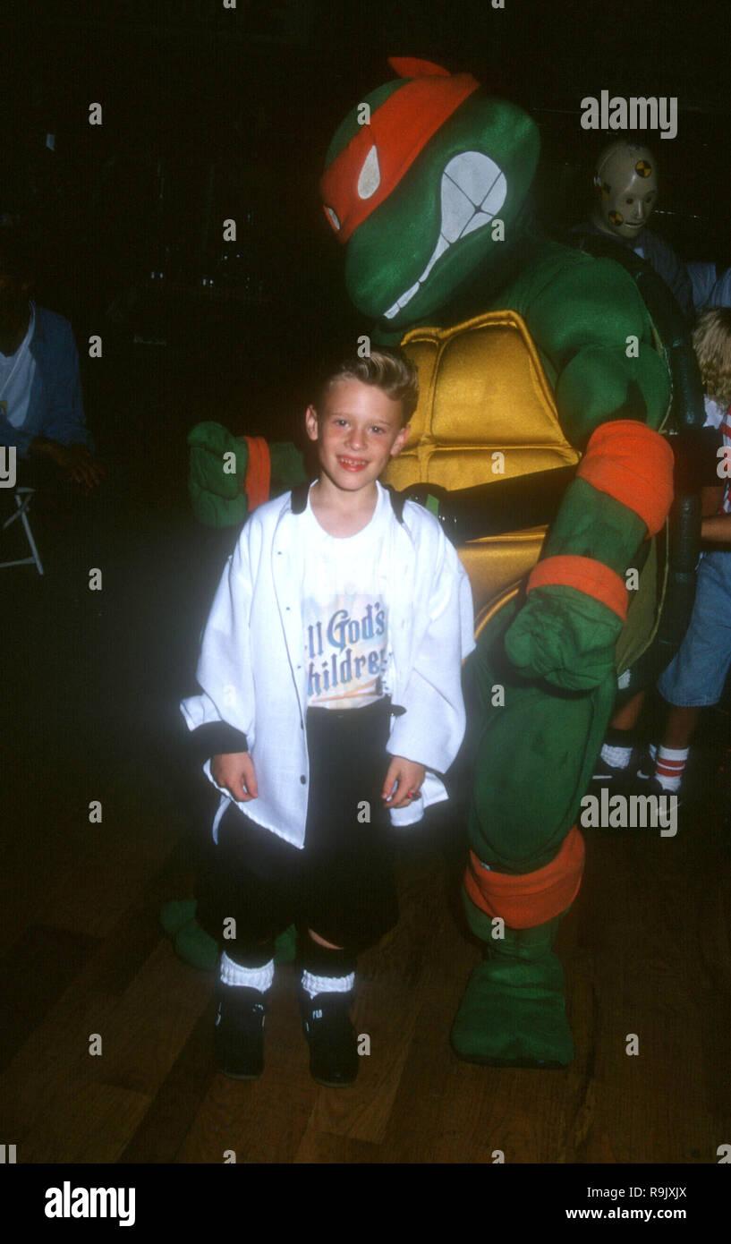 BUENA PARK, CA - 11. Juni: Ein Schauspieler mit Ninja Turtle besuchen Kinderkrankenhaus internationale Musik und Unterhaltung Festival (Warnton) am 11. Juni 1993 in Knott's Berry Farm in Buena Park, Kalifornien. Foto von Barry King/Alamy Stock Foto Stockfoto