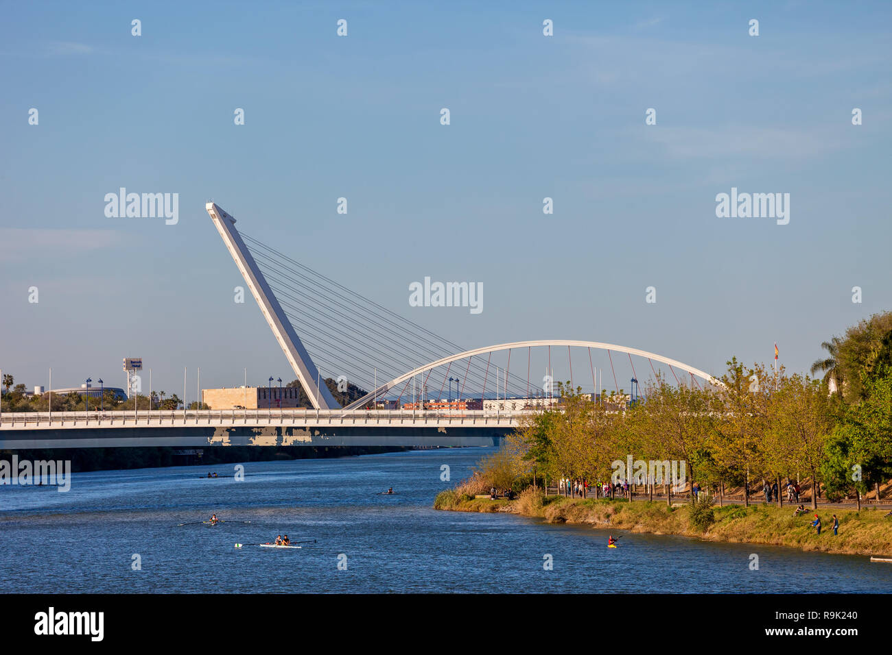 Barqueta und Alamillo Brücken am Fluss Guadalquivir in Sevilla, Spanien Stockfoto