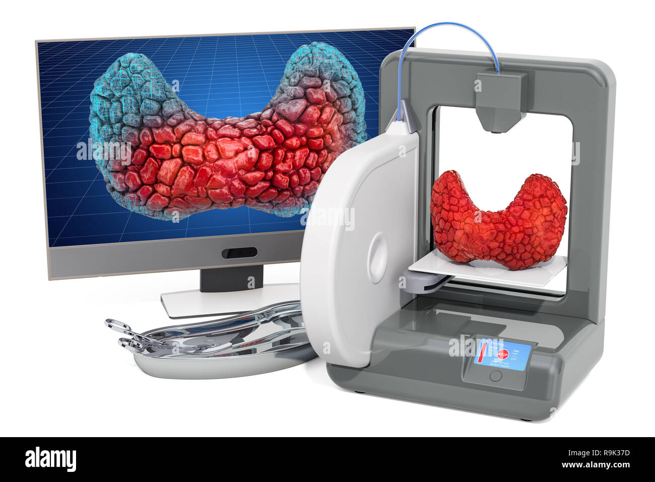 Knstliche Schilddrse auf dreidimensionale Drucker, 3D-Druck in der  Medizin Konzept. 3D-Rendering auf weiem Hintergrund Stockfotografie - Alamy