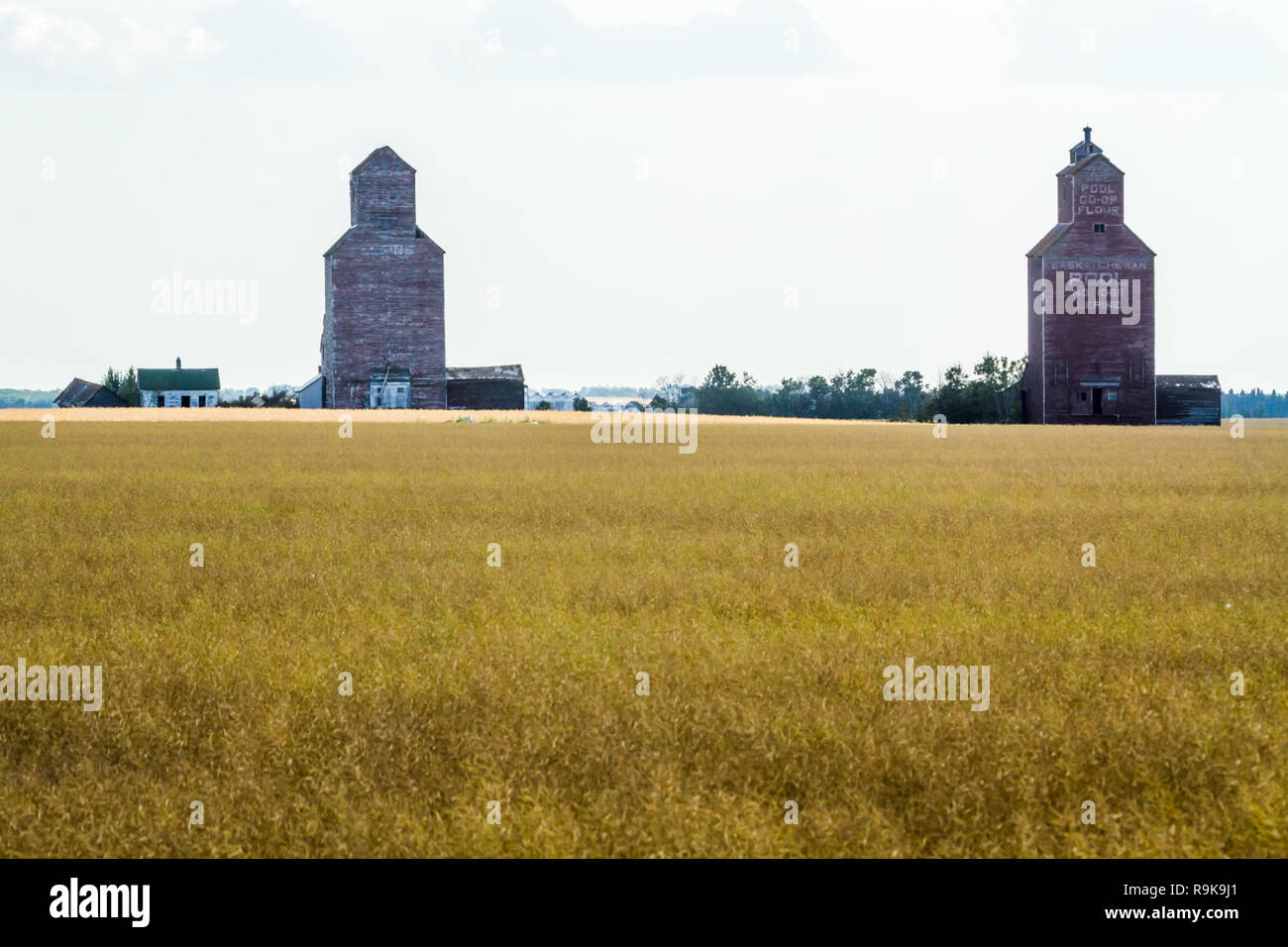 Alte Getreidespeicher in der Ortschaft Lepine, Saskatchewan, Kanada, 100 km nördlich von Saskatoon. Landwirtschaft treibt die Wirtschaft in der Provinz von Weizen Stockfoto