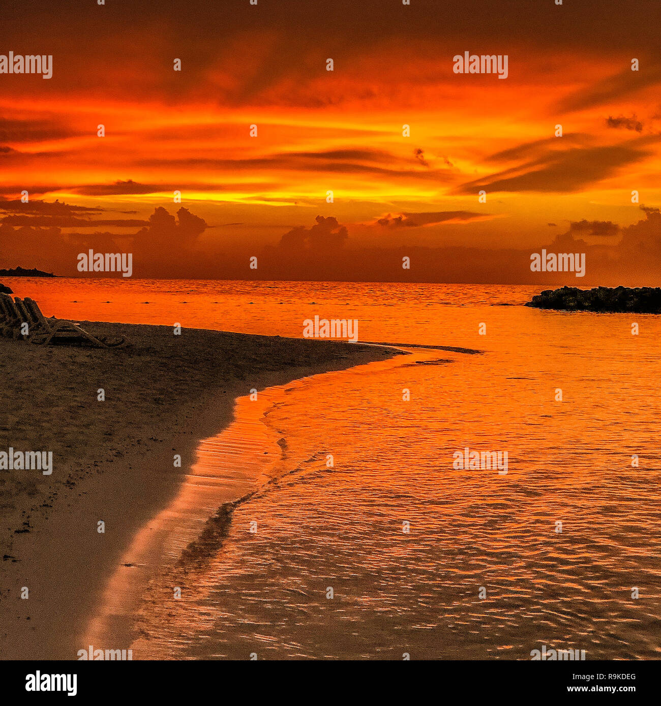 sonnenaufgang am Strand von Hawaii durch die Silhouetten einer Kokosnusspalme Stockfoto