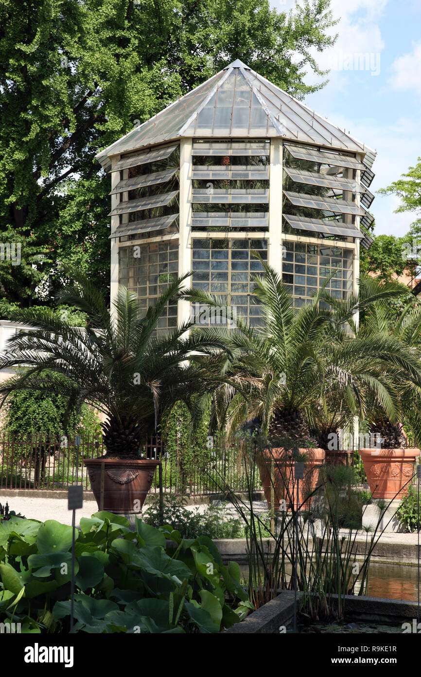 Der Orto Botanico (Botanischer Garten) in Padua gehören zu den ältesten in Europa, eröffnet im Jahre 1545. Stockfoto