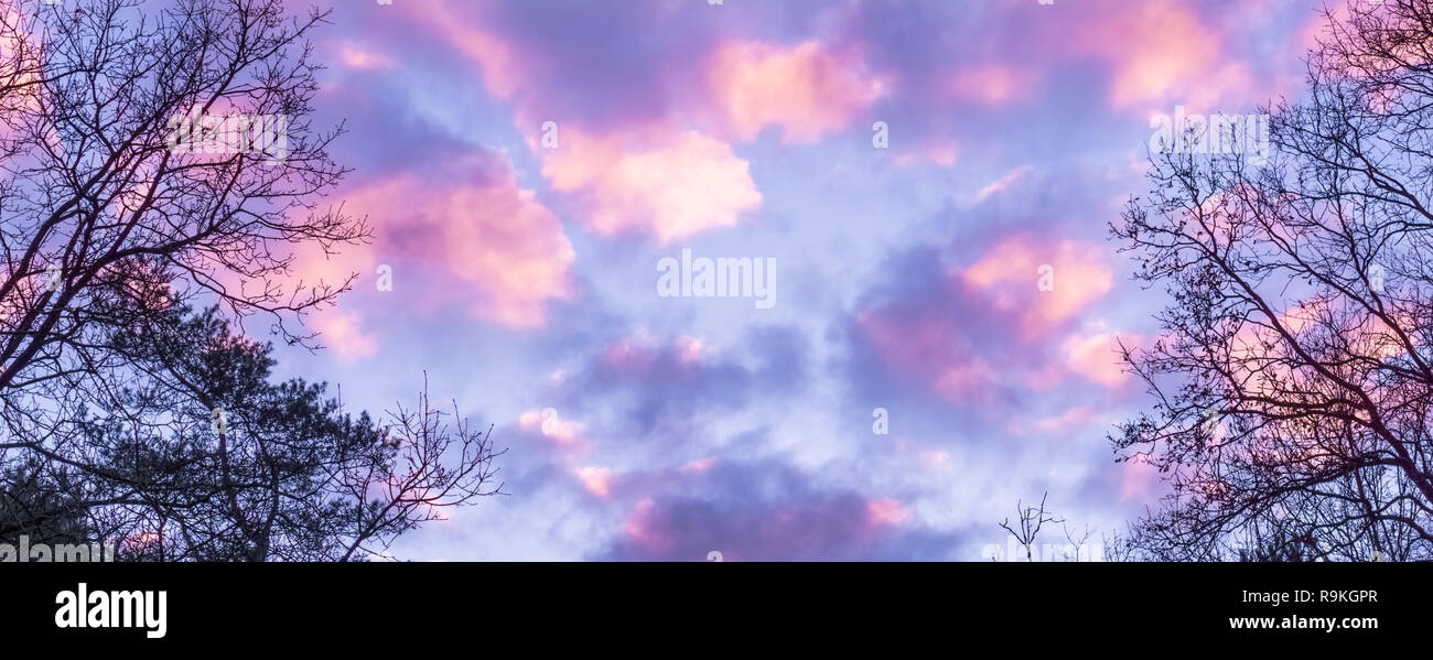 Rosa und Lila polaren stratosphärischen Wolken, ein Effekt in den Himmel, die manchmal nur selten im Winter auftritt Stockfoto