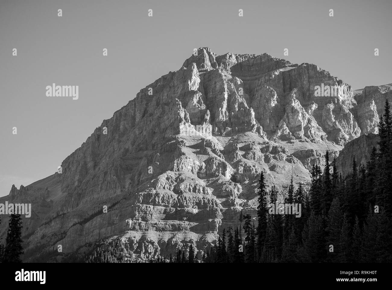 Einer der vielen Berge von Jasper National Park in Alberta Stockfoto