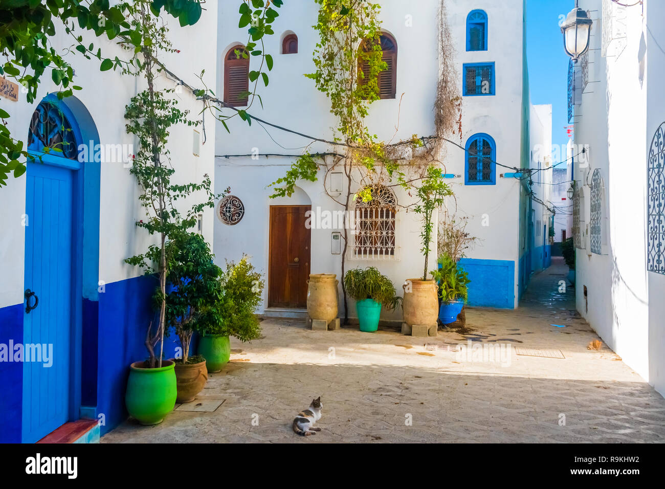 Romantische Straße, Töpfe von Pflanzen und Blumen in Weiß medina von Ouarzazate in Marokko Stockfoto