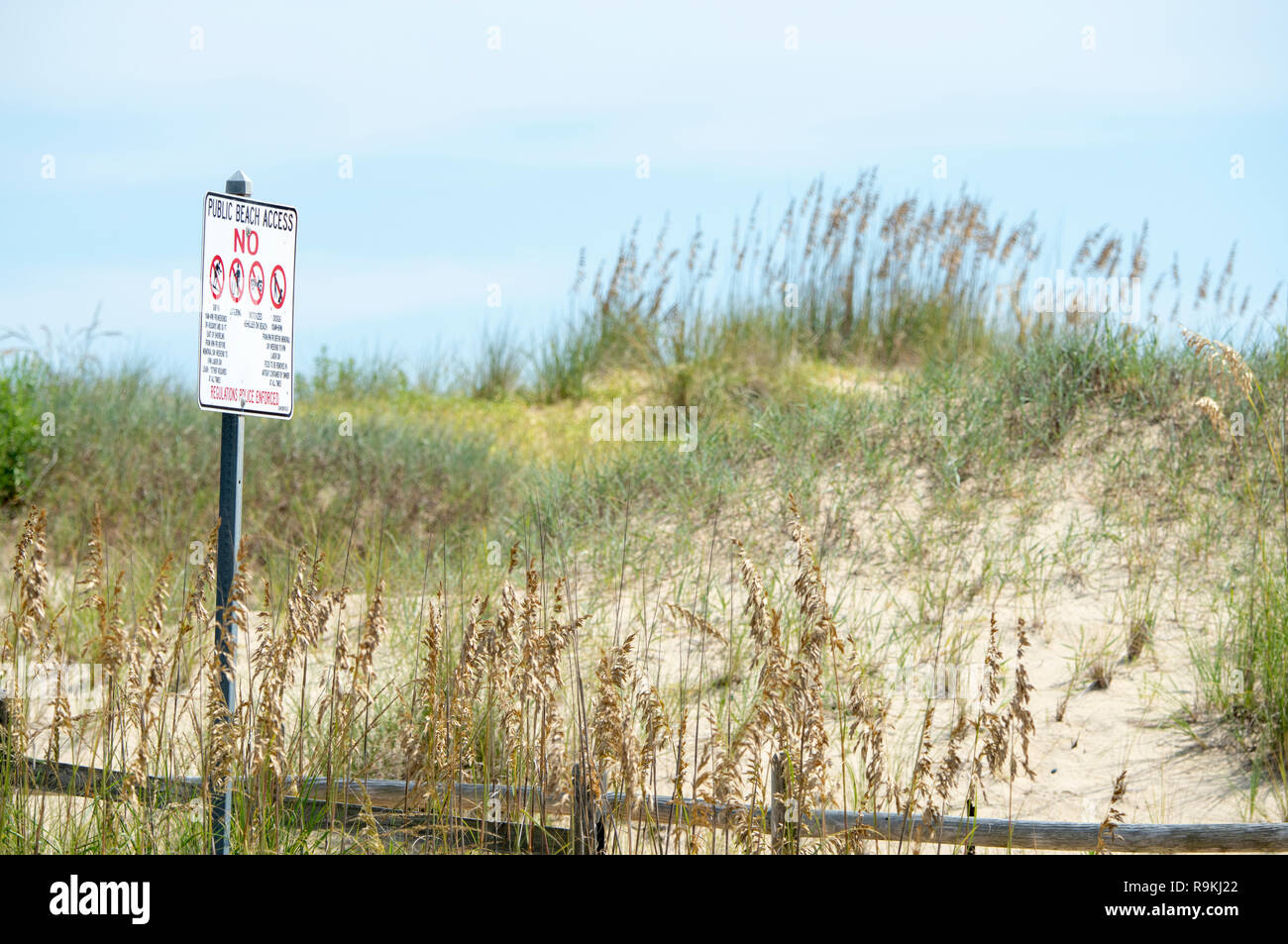 Sea Oats und Dünen am Virginia Beach, VA Stockfoto