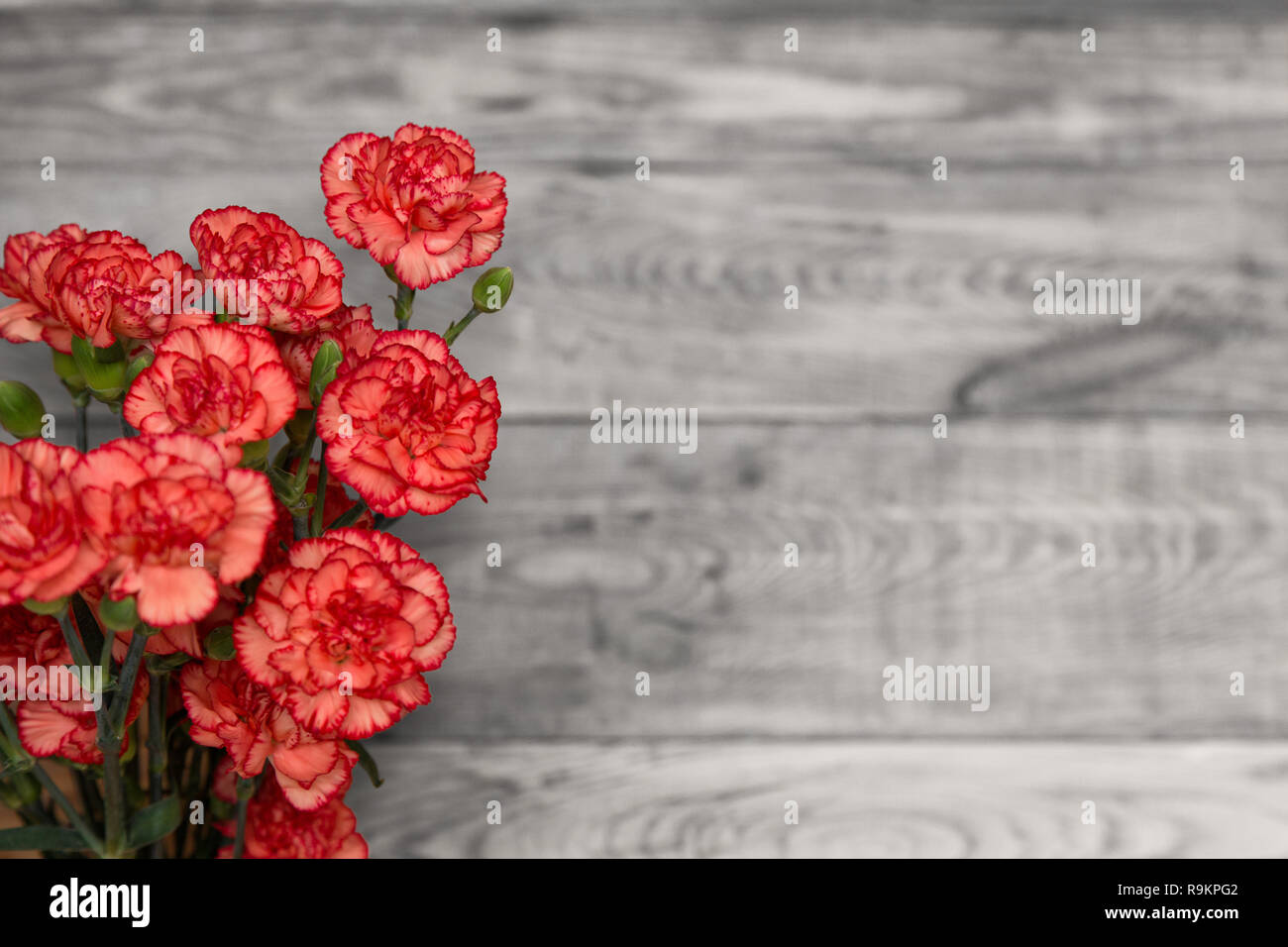 Ein Bündel von rot und rosa Nelken Blumen auf einem rustikalen Holztisch. Blur Hintergrund mit kopieren. Stockfoto