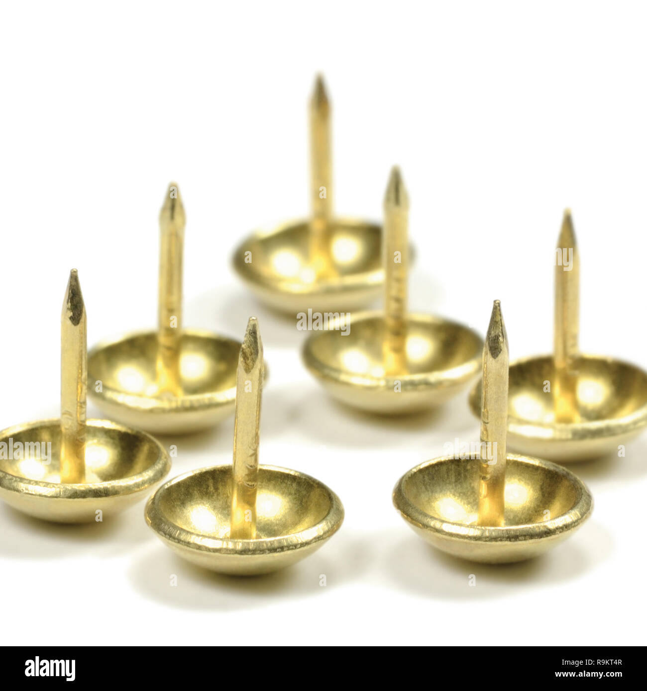 Glattes Erz Polsterung Reißnägel, Französische natürliche Möbel Nägel, glänzendes Goldgelb Stil, große Detaillierte isoliert Makro Nahaufnahme Studio Shot Stockfoto