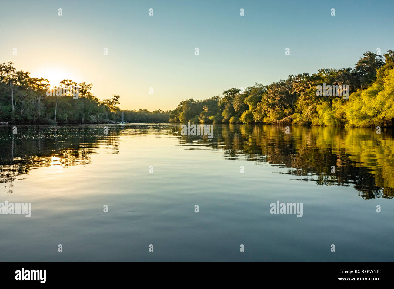 Suwanneee Fluss, Gilchrist County, Florida Stockfoto