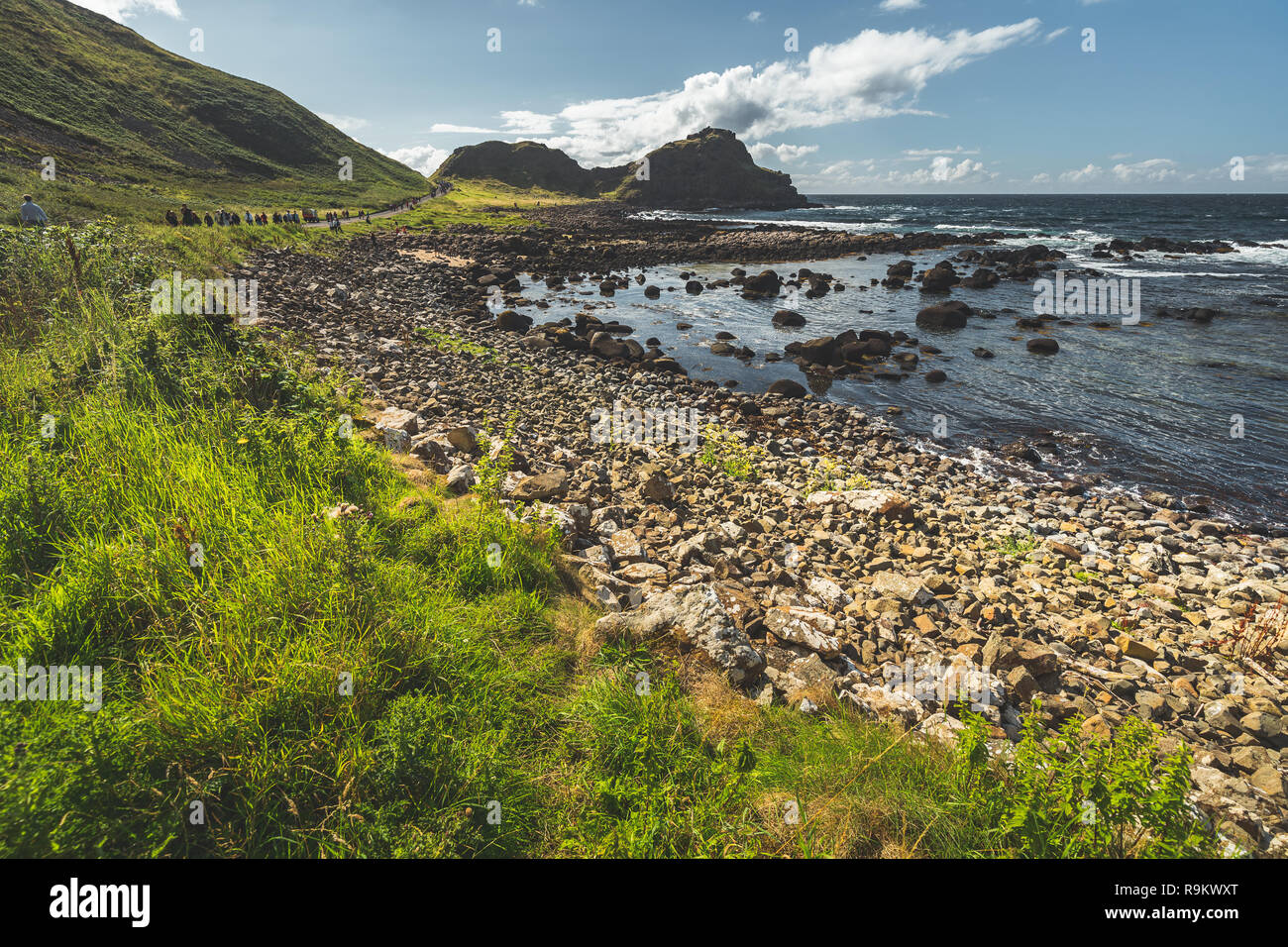 Close-up Küstenlinie mit Felsbrocken. Nordirland. Grüne Gras bedeckt Irish Land mit den Steinen neben dem Meer Wasser. Befriedete Landschaft. Touris Stockfoto