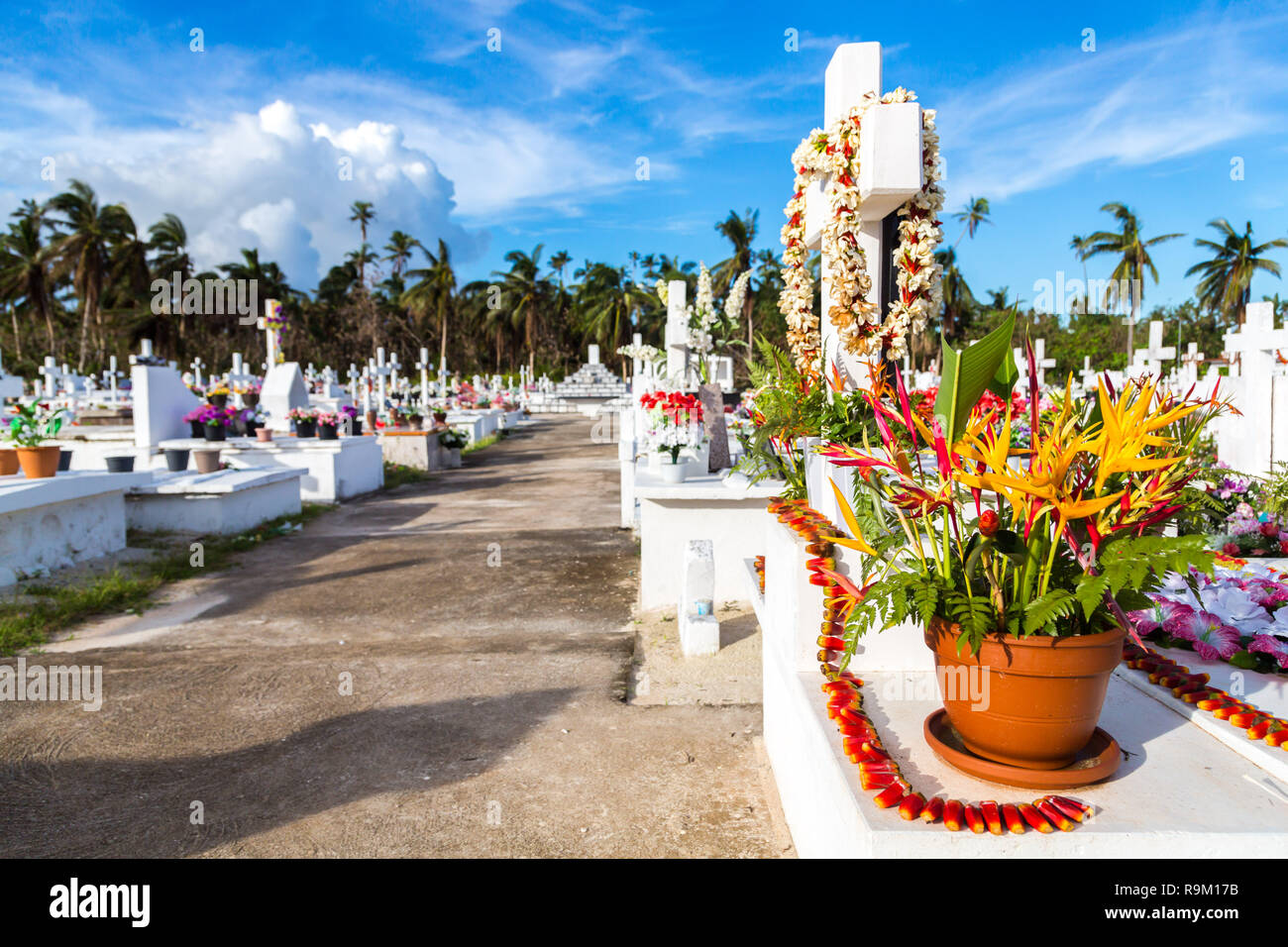 Weiße Kreuze einer Christian​ Friedhof, Uvea (Wallis) Insel, Wallis und Futuna (Wallis-et-Futuna), Polynesien, Ozeanien. Strelitzia Blumen. Stockfoto