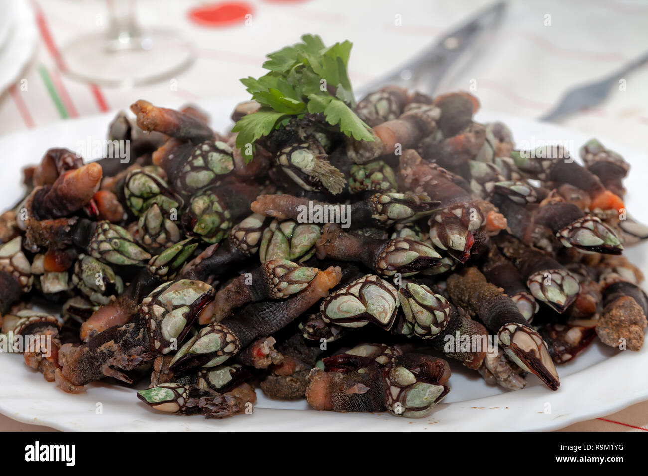 Ein Gericht mit viel frisch gekochte Muscheln zu Hause. Stockfoto