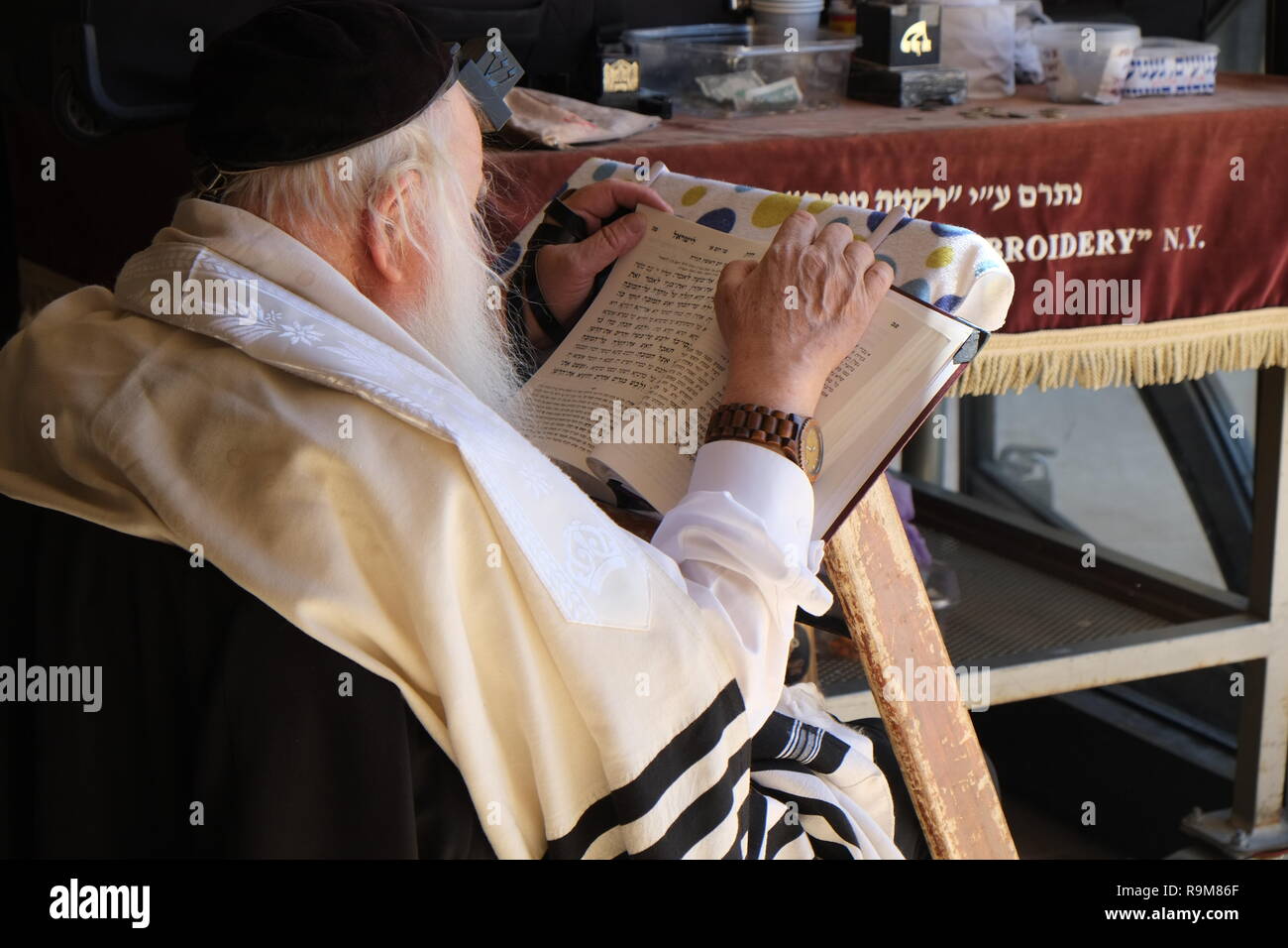 Jüdischen Mann Lesung der Tora Stockfoto