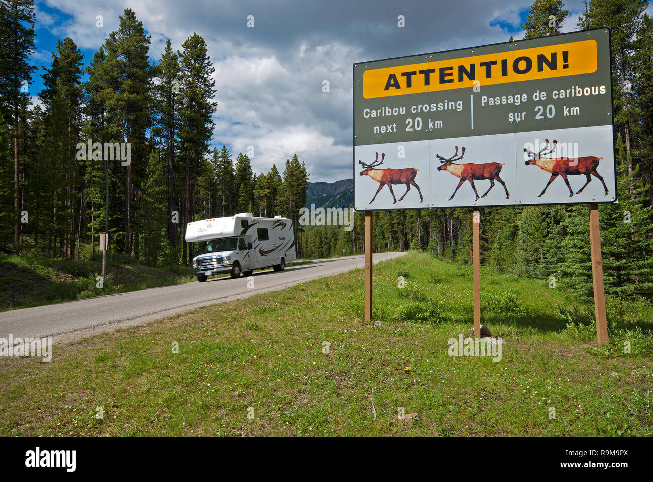 Warnschild über Caribou Crossing, Jasper National Park, Rocky Mountains, Alberta, Kanada Stockfoto