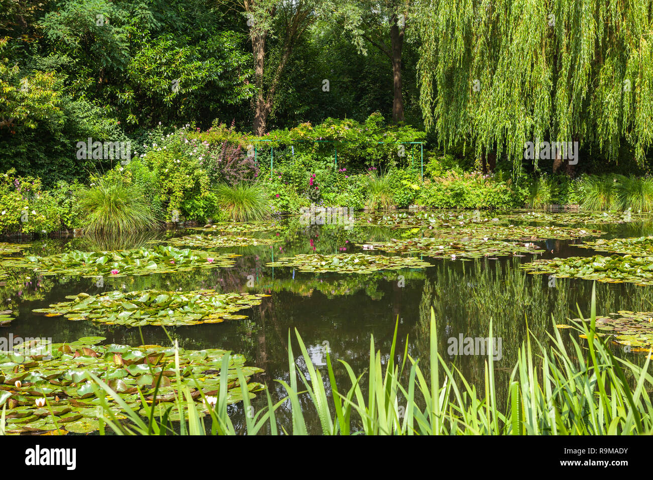 Blick auf den Garten in Giverny, Frankreich, wo Claude Monet lebte und erstellt für die langen Jahre Stockfoto