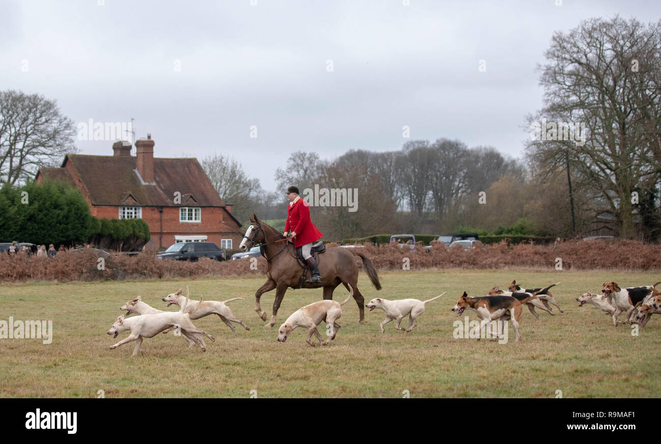 Die Surrey Union Jagd treffen bei Okewoodhill in der Nähe von Dorking, Surrey, für den Boxing Day Hunt. Stockfoto