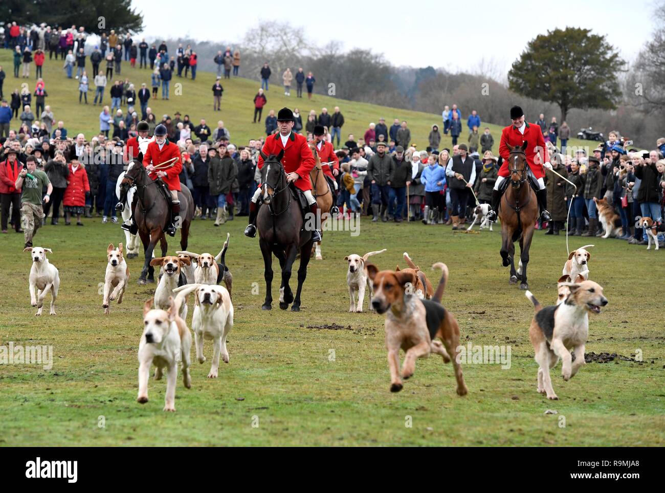 New Forest Jagdhunde Boxing Day Jagd bei der Bolton Bank in Lyndhurst, Hampshire, Großbritannien Stockfoto