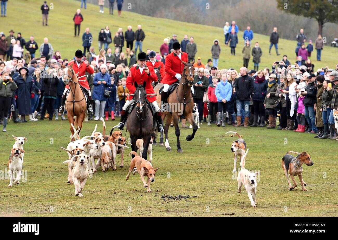 New Forest Jagdhunde Boxing Day Jagd bei der Bolton Bank in Lyndhurst, Hampshire, Großbritannien Stockfoto