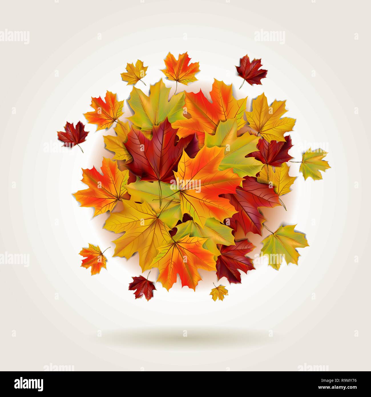 Herbst bunt Ahornblätter in einer runden Form, Vector Illustration Stock Vektor