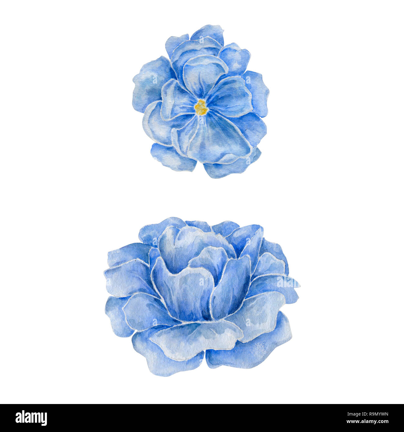 Blaue Blume Aquarell Zeichnung Abbildung Geometrische Illustration Malerei Aquarell Blumen Aquarelle Garten Clip Art Auf Weissem Hintergrund Stockfotografie Alamy