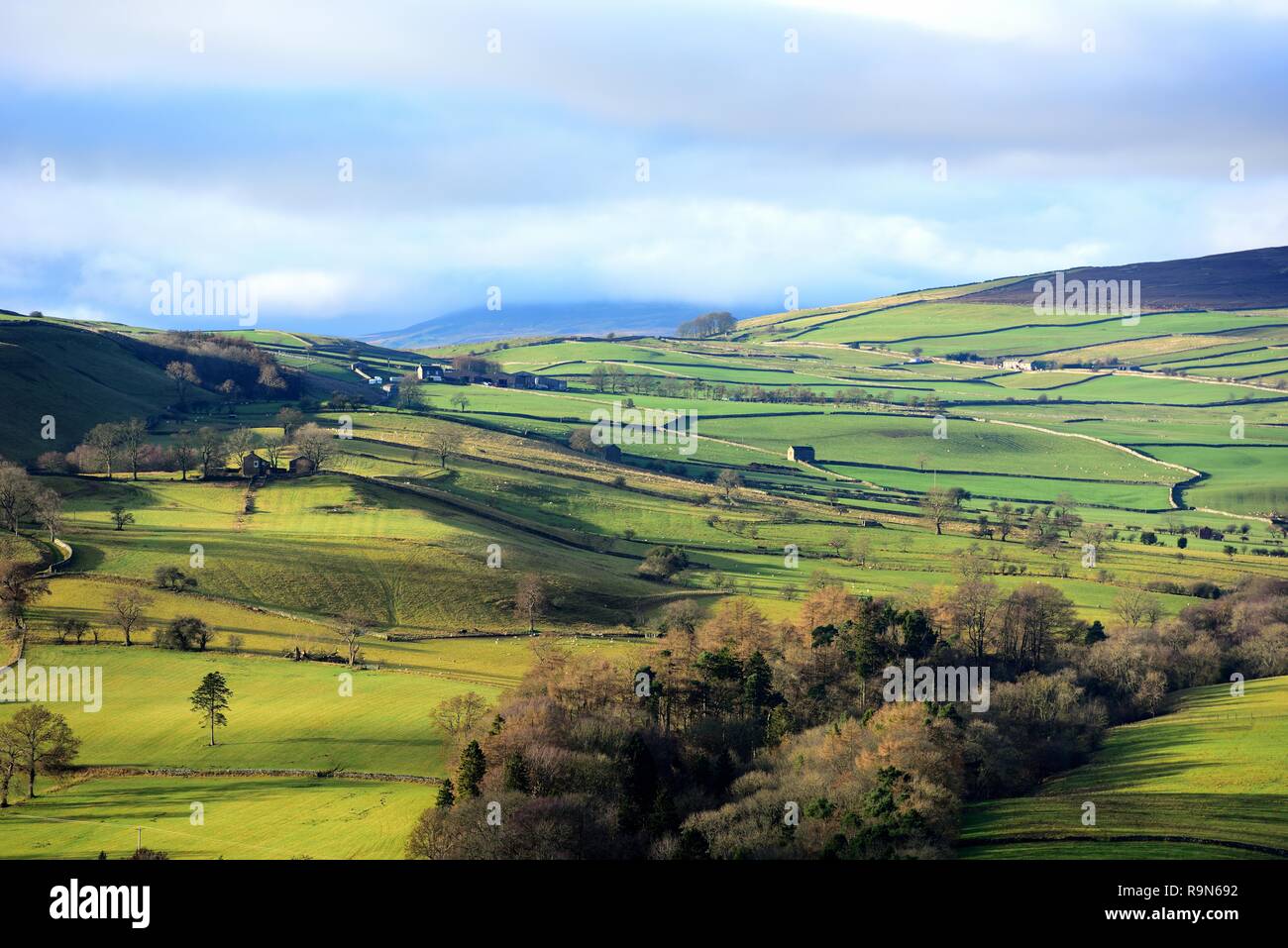 Ein Blick über Swaledale aus der Sicht Downholme Stockfoto