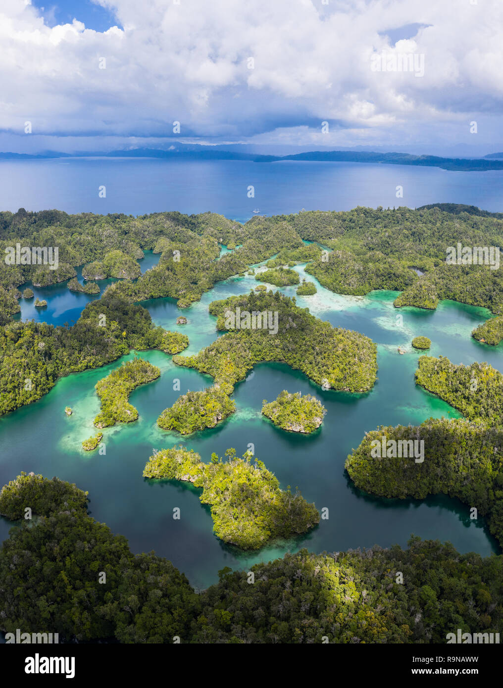 Remote Kalkstein Inseln in Raja Ampat, Indonesien, bilden ein Labyrinth in einer Lagune. Diese artenreichen Region ist als Herz der Korallen Dreieck bekannt. Stockfoto