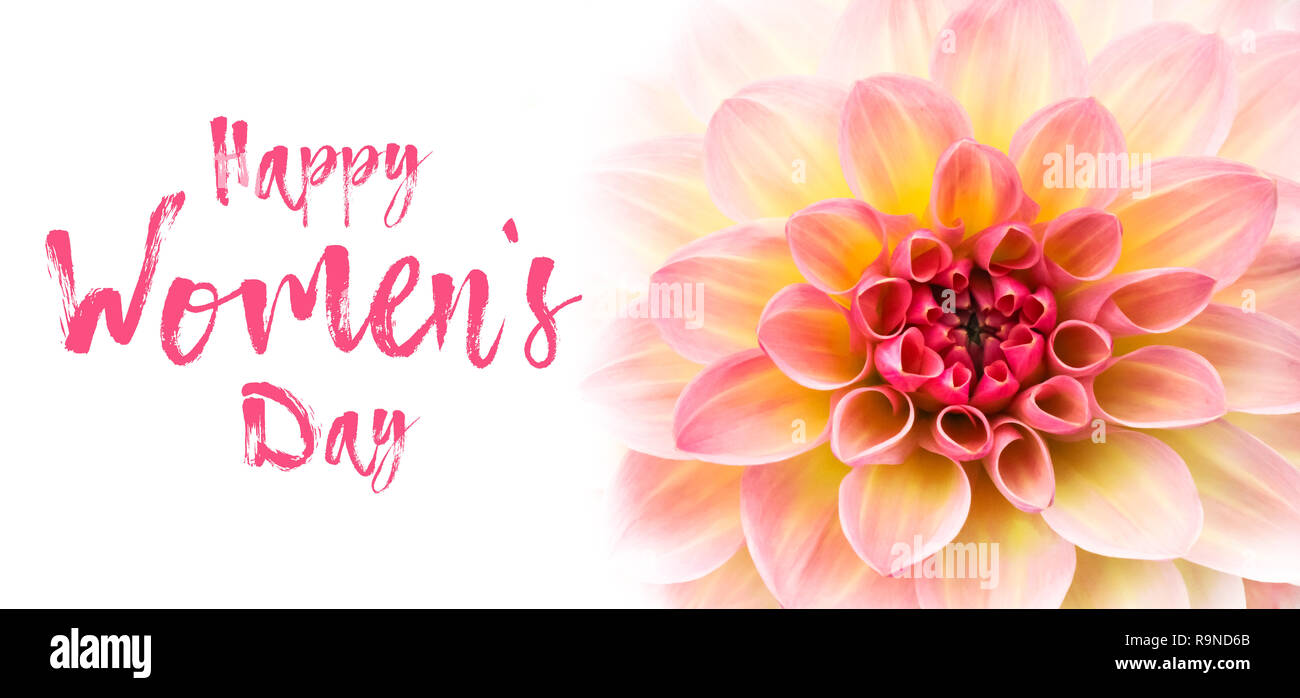 Der glückliche Frauen Tag sms-Schriftzug und Pink, Gelb und Weiß frische Dahlie Blume Makro Foto gegen den weißen Hintergrund banner breite Karte isoliert Stockfoto