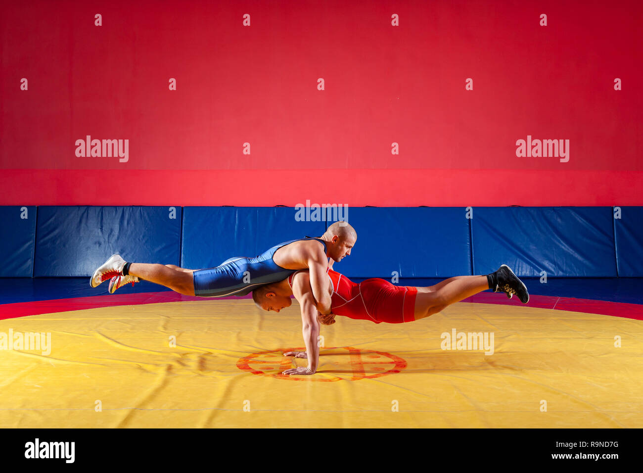 Zwei starke Ringer in Blau und Rot wrestling Strumpfhosen sind wrestlng und  Push-ups und gymnastischen Übungen in Paaren, Plank in der Turnhalle.  Junger Mann tun Stockfotografie - Alamy