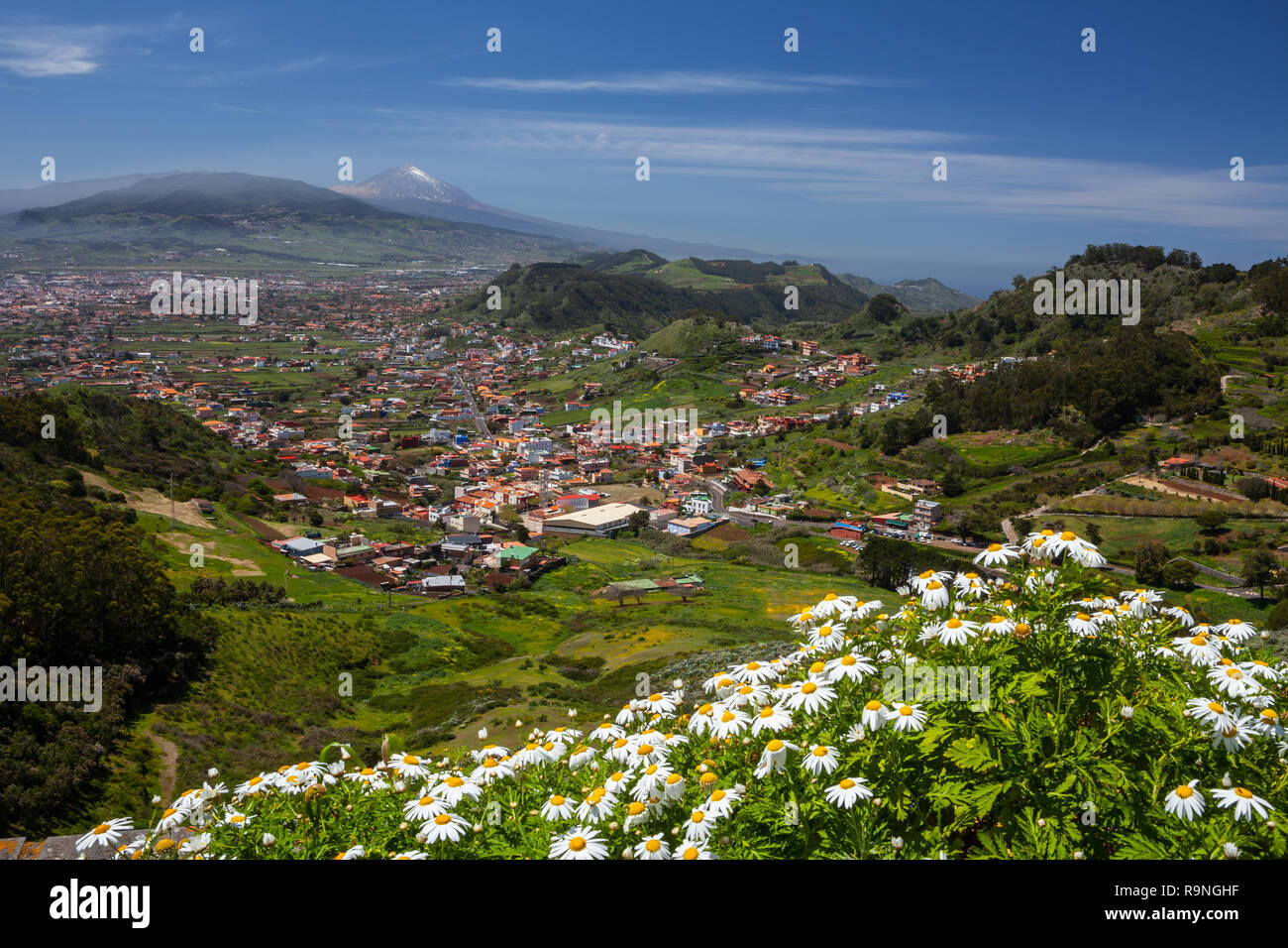 Wunderschöne Landschaft von Teneriffa, Kanarische Inseln, Spanien Stockfoto