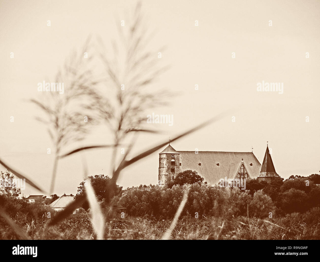 Sepia getonten Bild der Kathedrale in Verden (Aller), Niedersachsen, Deutschland Stockfoto