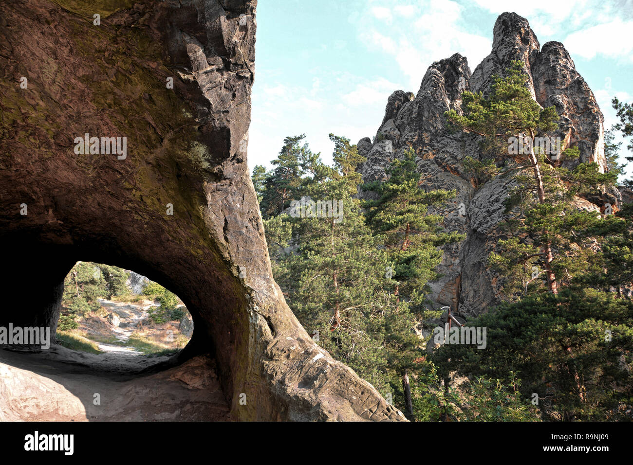 Devil's Wand in Timmenrode im Nationalpark Harz Stockfotografie Alamy