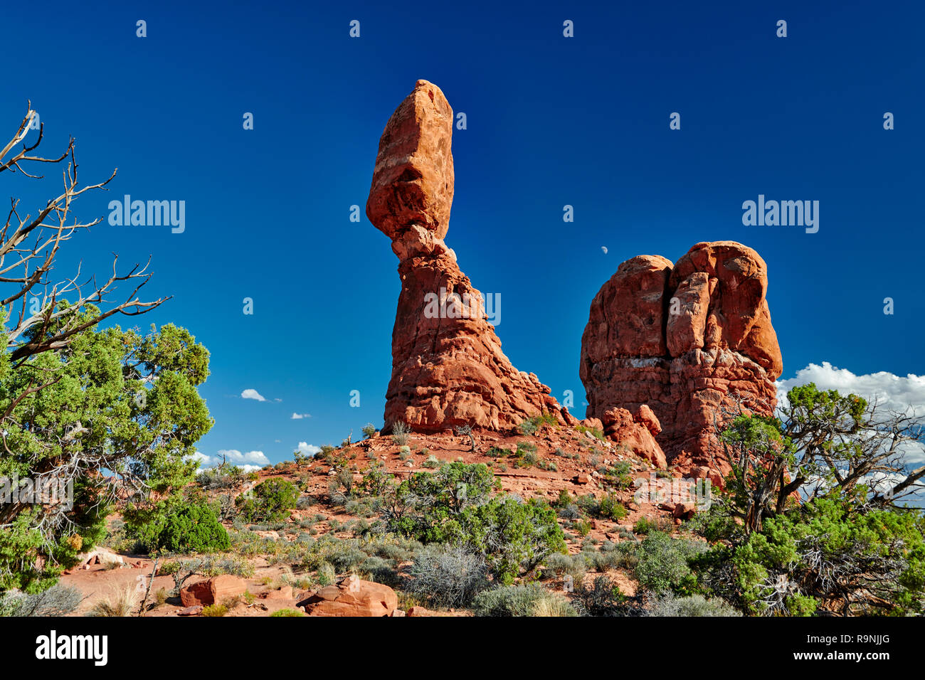 Balanced Rock im Arches National Park, Moab, Utah, USA, Nordamerika Stockfoto