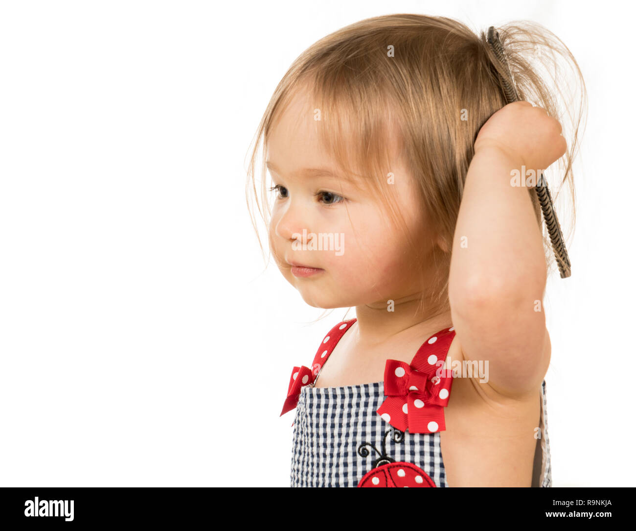 Old Comb Stockfotos Old Comb Bilder Alamy